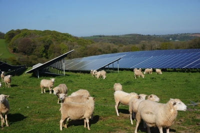 Newton Downs Solar Farm